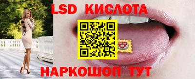 гашик Камышлов