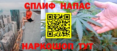 гашик Канаш