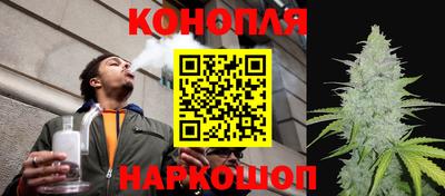 гашик Канаш