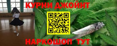 гашик Камышлов