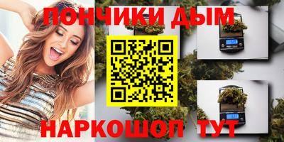 гашик Камышлов