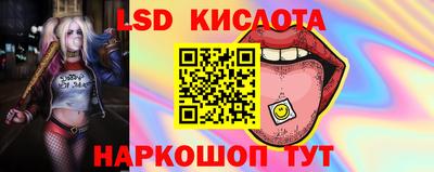 гашик Канаш