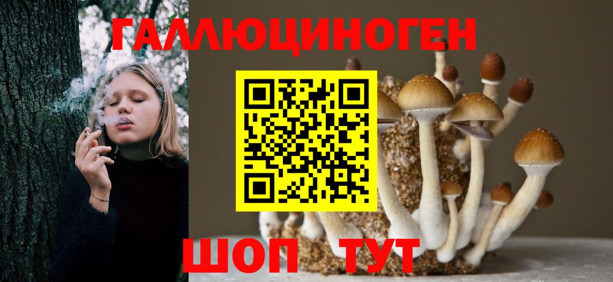 Галлюциногенные грибы мицелий  Псилоцибиновые грибы Cubensis  Вход с VPN  Строитель 